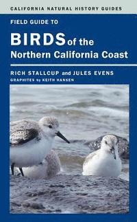 bokomslag Field Guide to Birds of the Northern California Coast