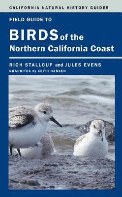 Rich Stallcup, Jules Evens - Field Guide to Birds of the Northern California Coast, Häftad