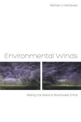 Environmental Winds 1