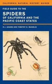 bokomslag Field Guide to the Spiders of California and the Pacific Coast States