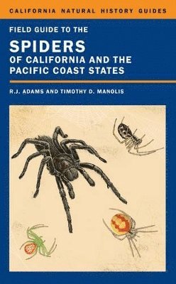 Field Guide to the Spiders of California and the Pacific Coast States 1