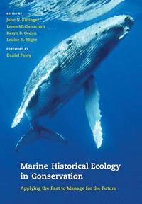 bokomslag Marine Historical Ecology in Conservation
