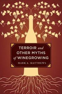 bokomslag Terroir and Other Myths of Winegrowing
