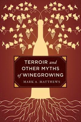 bokomslag Terroir and Other Myths of Winegrowing