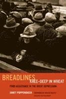 Janet Poppendieck - Breadlines Knee-Deep in Wheat, Häftad