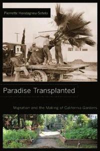 bokomslag Paradise Transplanted