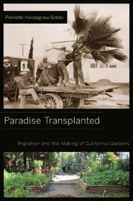 Paradise Transplanted 1