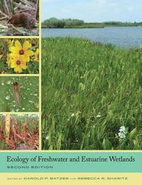 bokomslag Ecology of Freshwater and Estuarine Wetlands