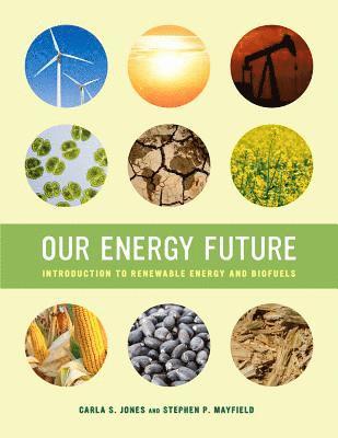 Our Energy Future 1