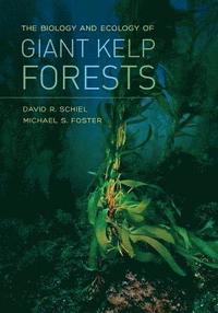 bokomslag The Biology and Ecology of Giant Kelp Forests