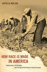bokomslag How Race Is Made in America
