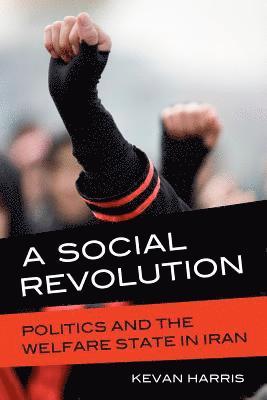 bokomslag Social Revolution