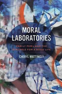 bokomslag Moral Laboratories