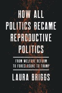 bokomslag How All Politics Became Reproductive Politics