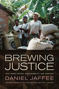 bokomslag Brewing Justice