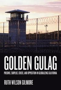 bokomslag Golden Gulag