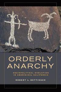 bokomslag Orderly Anarchy