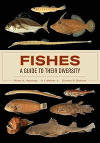 bokomslag Fishes: A Guide to Their Diversity