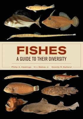 bokomslag Fishes: A Guide to Their Diversity