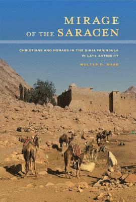 Mirage of the Saracen 1