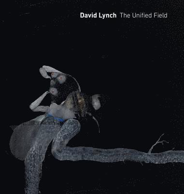 bokomslag David Lynch: The Unified Field