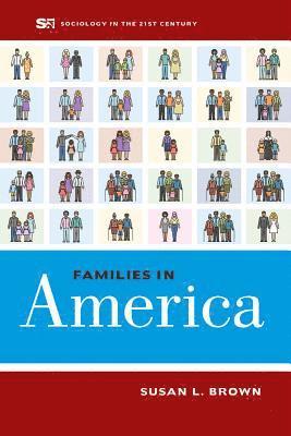 bokomslag Families in America