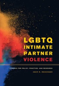 bokomslag LGBTQ Intimate Partner Violence