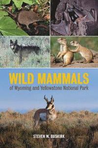 bokomslag Wild Mammals of Wyoming and Yellowstone National Park