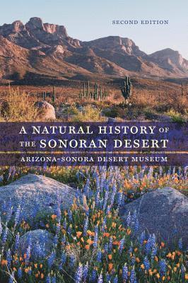Arizona-Sonora Desert Museum, Steven John Phillips, Patricia Wentworth Comus, Mark Alan Dimmitt, Linda M. Brewer, Linda M Brewer - Natural History of the Sonoran Desert, Häftad