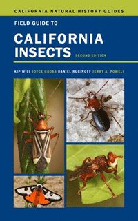 bokomslag Field Guide to California Insects