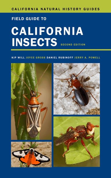 Kip Will, Joyce Gross, Daniel Rubinoff, Jerry A. Powell - Field Guide to California Insects, Häftad