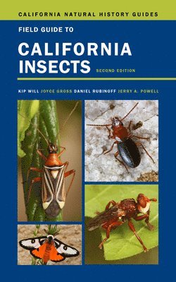 Field Guide to California Insects 1