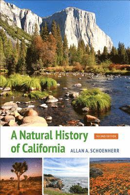 Allan A. Schoenherr - Natural History of California, Häftad