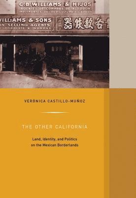 Verónica Castillo-Muñoz - Other California, Inbunden