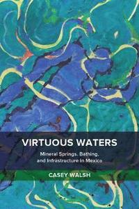 bokomslag Virtuous Waters