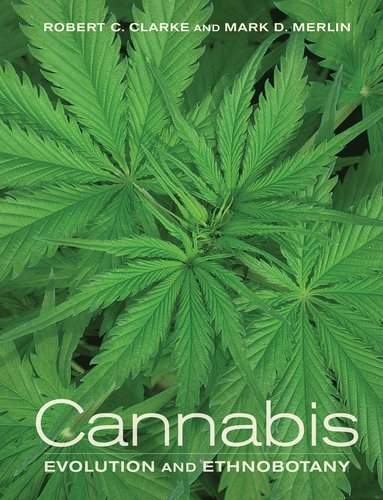 bokomslag Cannabis