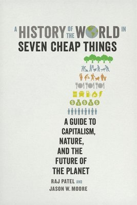 A History of the World in Seven Cheap Things 1