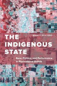 bokomslag The Indigenous State