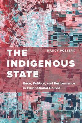 Nancy Postero - Indigenous State, Häftad