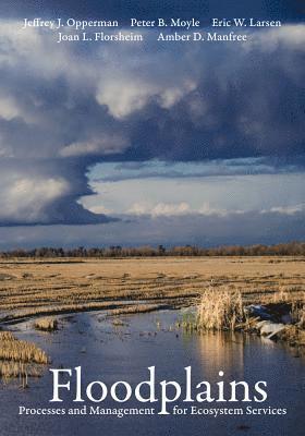 bokomslag Floodplains