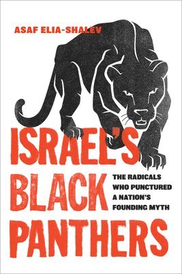 Israel's Black Panthers 1