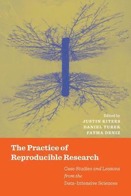 bokomslag The Practice of Reproducible Research