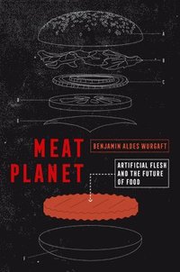 bokomslag Meat Planet