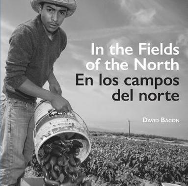 bokomslag In the Fields of the North / En los campos del norte