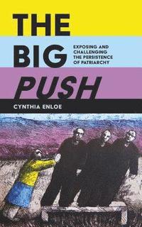 bokomslag The Big Push: Exposing and Challenging the Persistence of Patriarchy