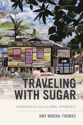 Traveling with Sugar 1