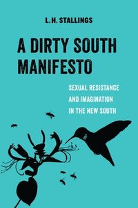 bokomslag A Dirty South Manifesto