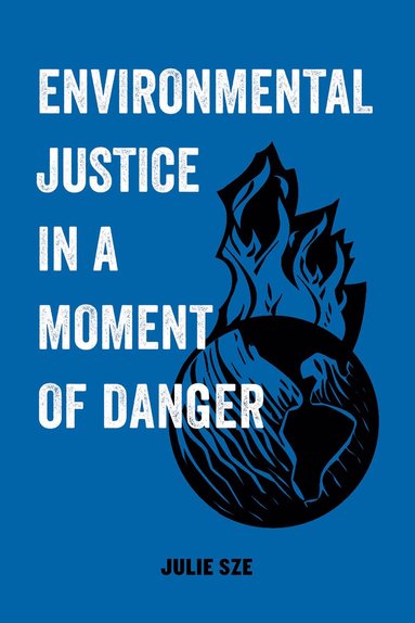 bokomslag Environmental Justice in a Moment of Danger