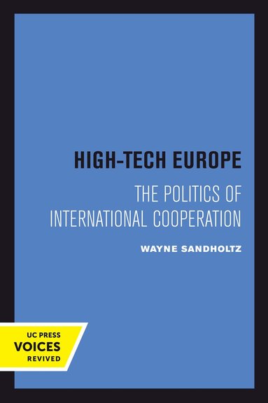 Wayne Sandholtz - High-Tech Europe, Häftad