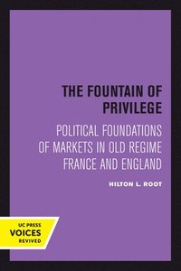 bokomslag The Fountain of Privilege